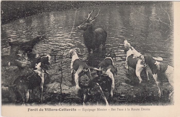 Villers-Cotterêts